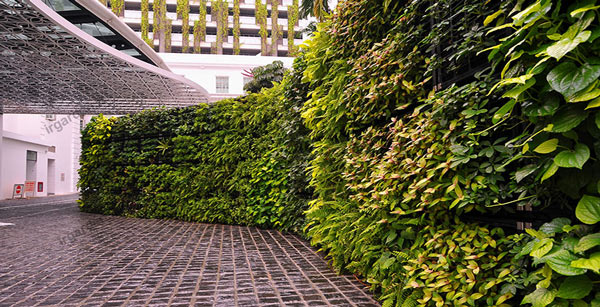 طراحی فضای سبز با دیوار سبز