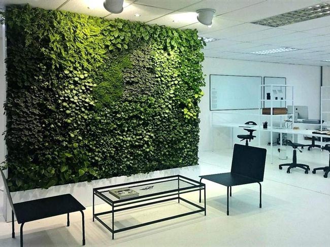 استفاده از دیوار سبز در ساختمان اداری