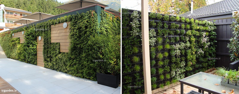 دیوارهای سبز گیاهی